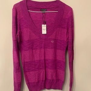 NWT express sweater